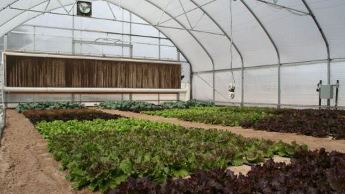 Cómo los macrotúneles te brindarán un retorno de inversión