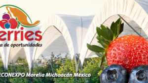 Lo mejor del Congreso Internacional de Aneberries en Morelia