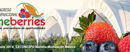 Lo mejor del Congreso Internacional de Aneberries en Morelia