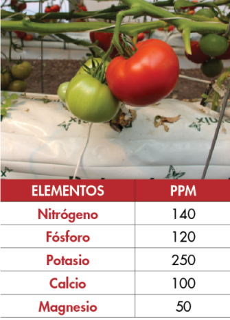 etapa 4