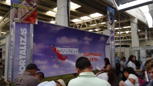 Calendario de Eventos 2019