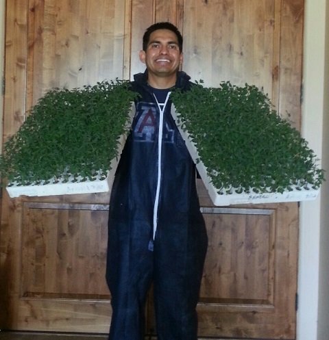 grafted_growers_enfoque (2)