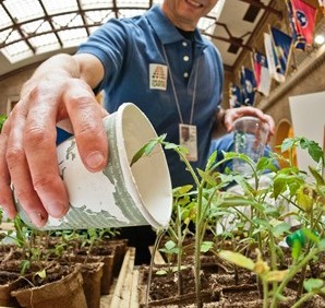 Tamaño de celda del trasplante afecta el rendimiento final
