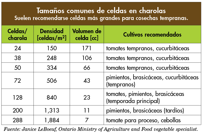 tamanos_celda