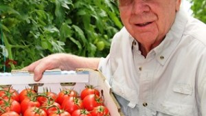 3 factores críticos de producción protegida