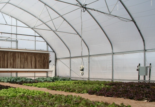 Preguntas antes de comprar una cubierta para tu invernadero (Segunda