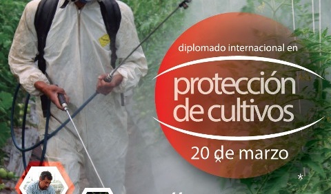 Diplomado Internacional en Protección de Cultivos