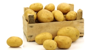 4 factores a considerar durante el almacenaje de papa