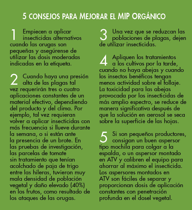 mip