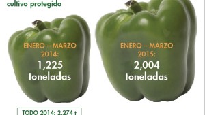 Desempeño del mercado de orgánicos