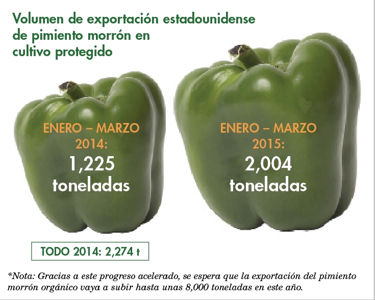 cifra pimiento morron