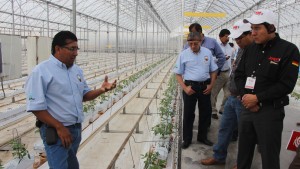 Recorrido a exitosas productoras de tomate fresco