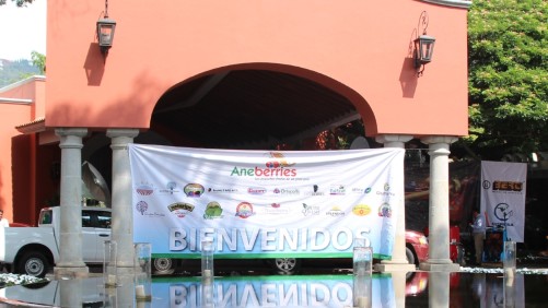 5to Congreso Aneberries recalca la potencia de la industria de frutillas mexicanas