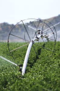 irrigation vertical