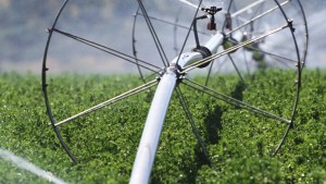 Aplicación de fertilizantes por líneas de riego