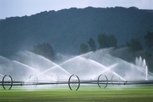 irrigation with mountains in background