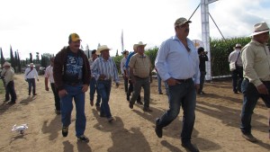 Portafolio de productos Dow AgroScience para productores de granos