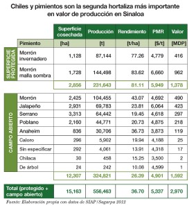El chile: segunda hortaliza más importante en Sinaloa