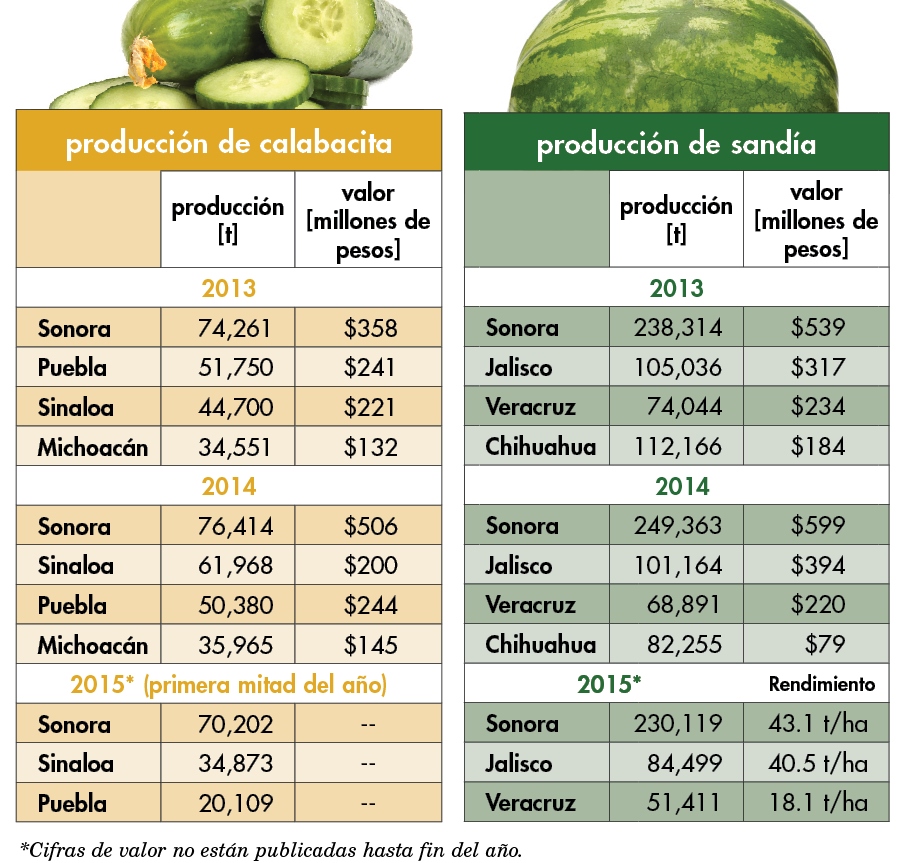 tabla cifras de cucurbit