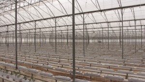Plan de tecnificación de estructuras protegidas