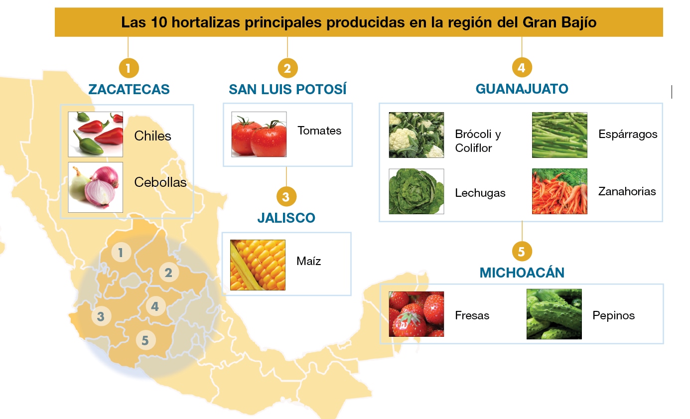 bajio hortalizas
