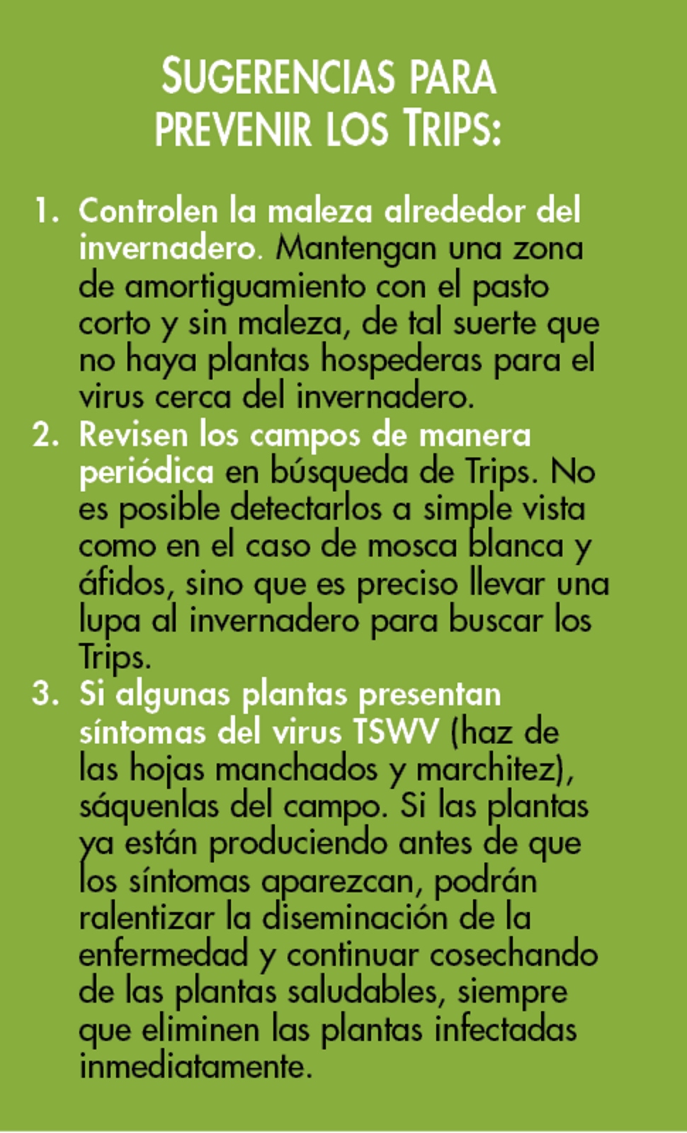Sugerencias para trips