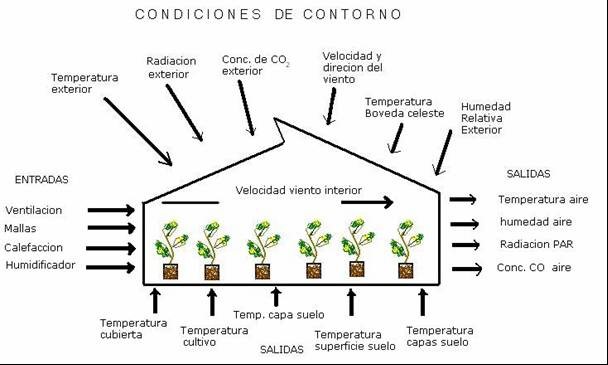 figura 4 agronica