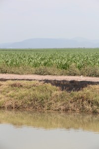paisaje culiacan