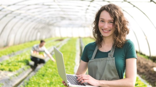 Claves para comenzar un buen negocio agrícola