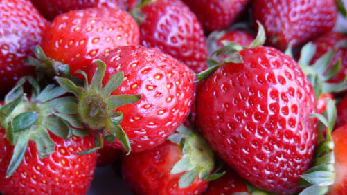 Recubrimiento comestible duplica la vida de anaquel de las fresas