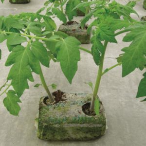 Growblock