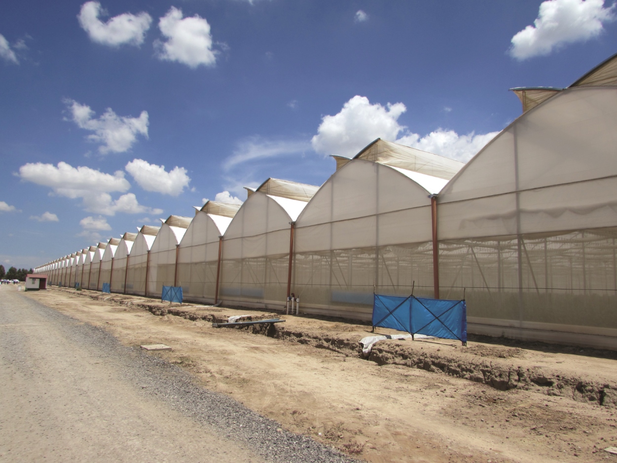 greenhouses panorama