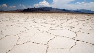 Soluciones al cambio climático para la agricultura