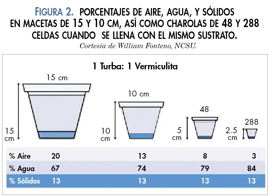 figura 2 pudricion de raiz