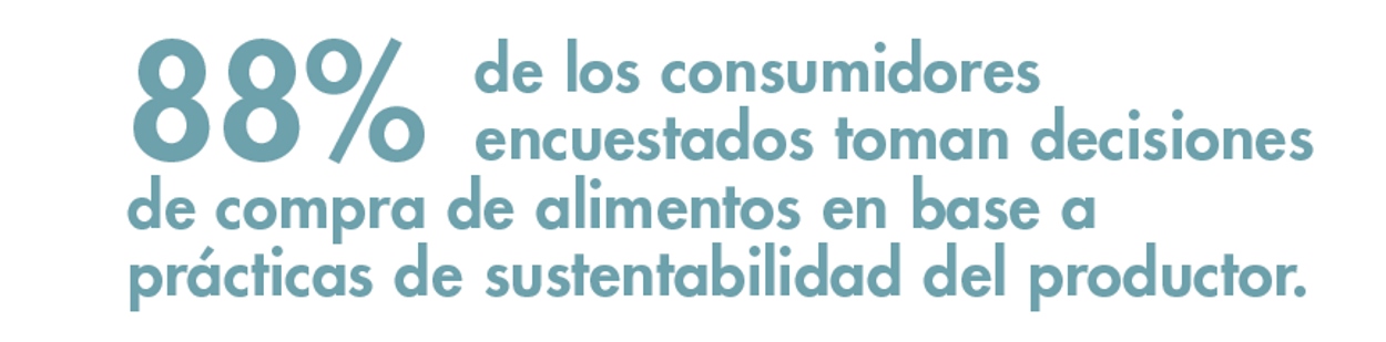 pullquote editorial pdh julio