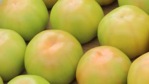 Tomates modificados para una larga vida de anaquel