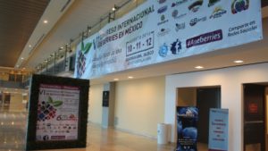 Concluye el Congreso Aneberries con la mirada hacia un futuro productivo
