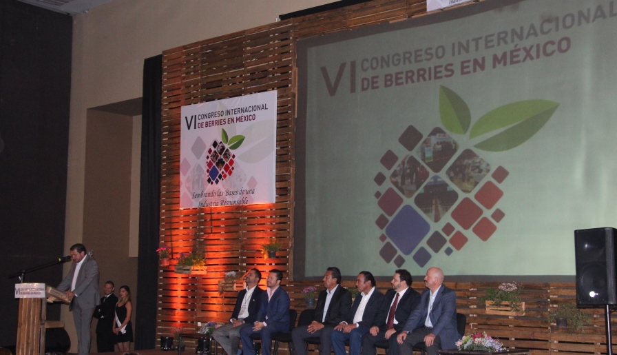 inauguracion aneberries