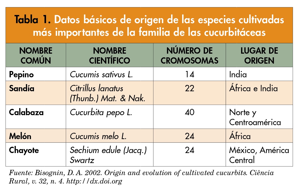 tabla-floracion-cucurbitacea