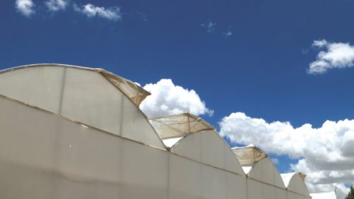 3 factores de gran impacto en los nuevos plásticos para invernadero
