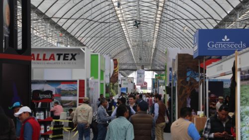 Cierra la Expo Agro GTO y sigue la innovación en este centro agrícola