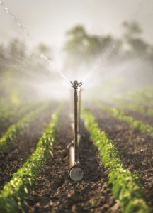Irrigation system on green field
