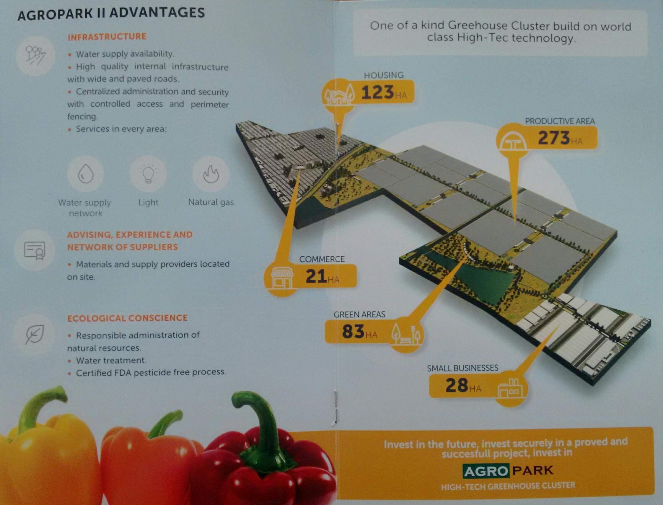 El modelo del agroparque: una solución eficiente para la horticultura protegida
