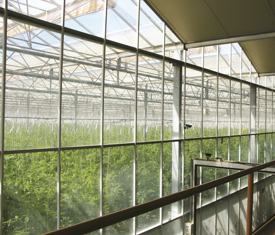 El modelo del agroparque: una solución eficiente para la horticultura protegida