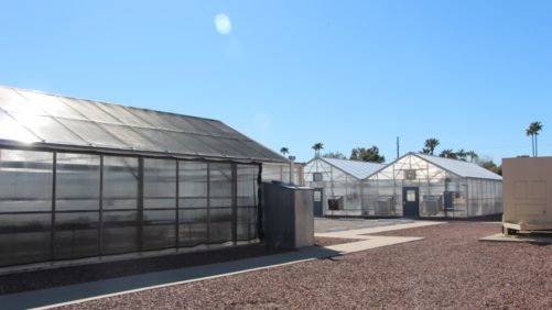 Descuento de 20% para evento de producción protegida de Arizona