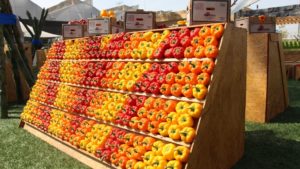 9 tendencias prometedoras para facilitar el desarrollo agrícola sostenible