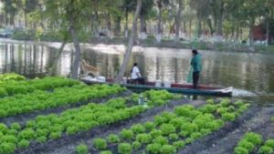 La innovación agrícola mexicana del pasado, presente y futuro
