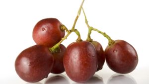 Medidas de protección poscosecha para las uvas de mesa