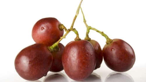 Medidas de protección poscosecha para las uvas de mesa