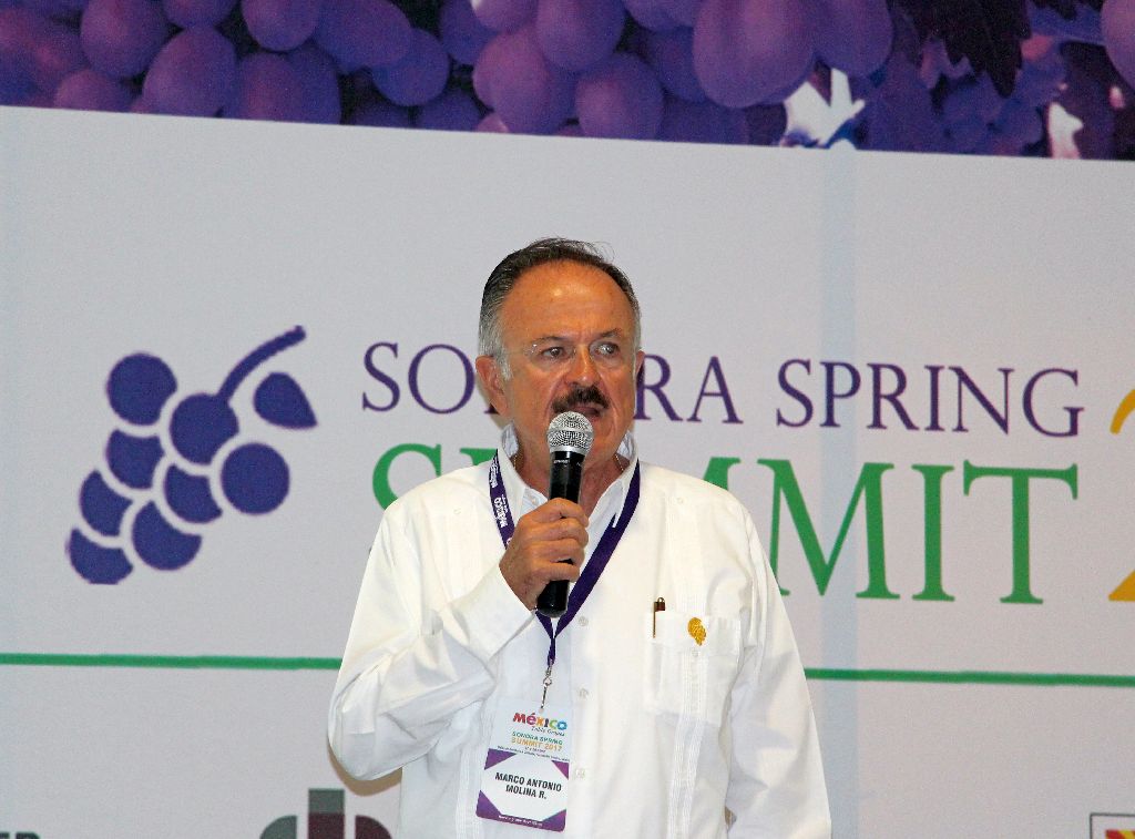 Spring Summit 2017, perspectivas de uva de mesa en Sonora